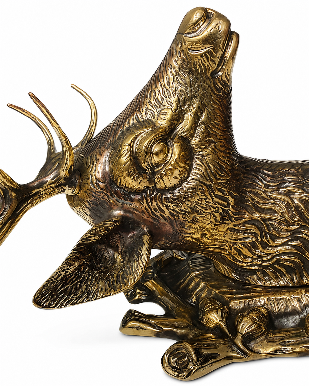 Life-Size Solid Brass Deer Head Sculpture