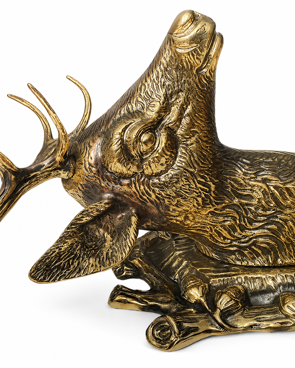 Life-Size Solid Brass Deer Head Sculpture